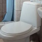 Guest house Domlesny