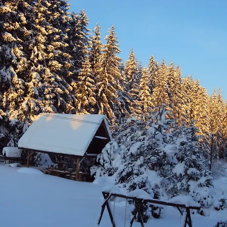 Domlesny Pensionat 3*