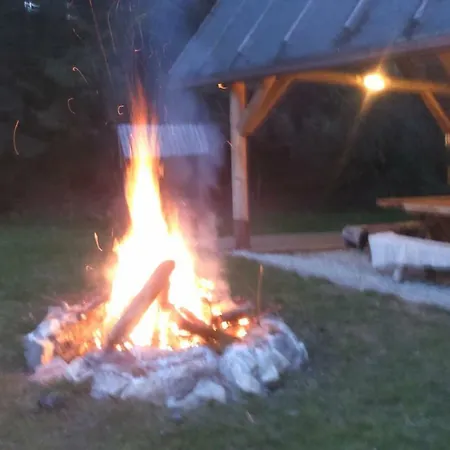 Domlesny Pensionat 3*