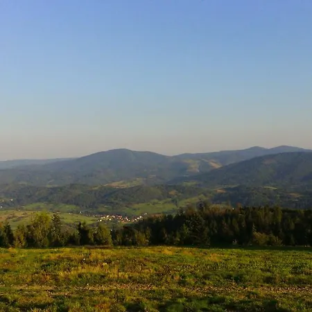 Domlesny
