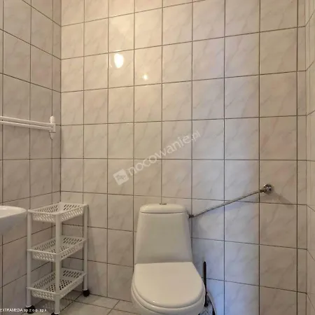 Domlesny Kiczora