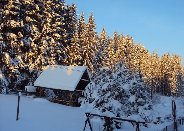 Domlesny בית הארחה 3*