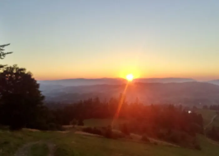 בית הארחה Domlesny 3*